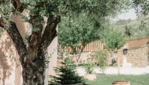 Socrates Organic Village Wild Olive - Αγριλιά, Μεσολόγγι