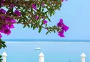 4* Kymi Palace Hotel - Εύβοια, Κύμη