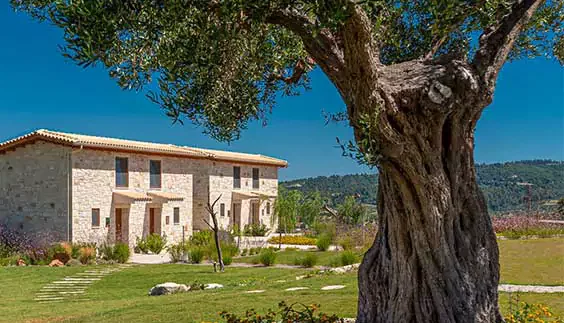 5* Mint Retreat Suites - Ποσείδι, Χαλκιδική