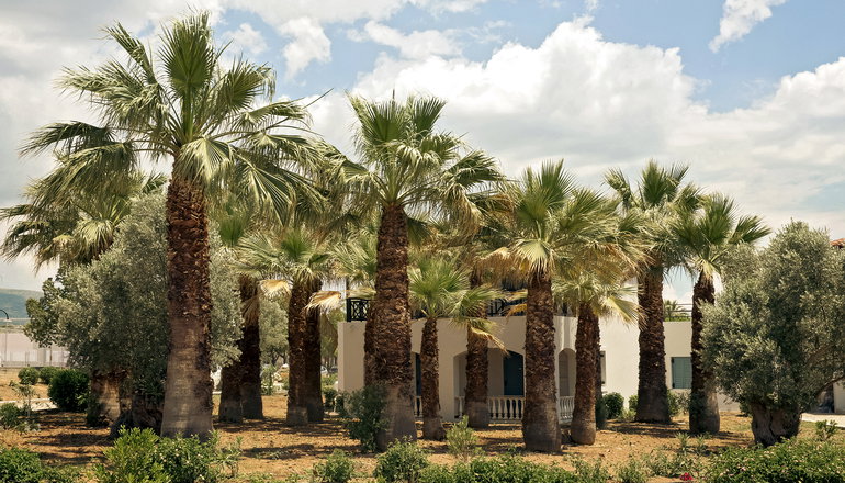 5* Zeus Eretria Resort - Ερέτρια, Εύβοια