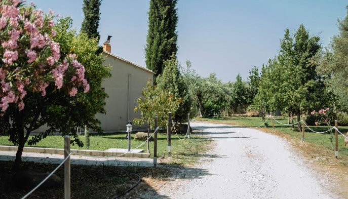 Socrates Organic Village Wild Olive - Αγριλιά, Μεσολόγγι