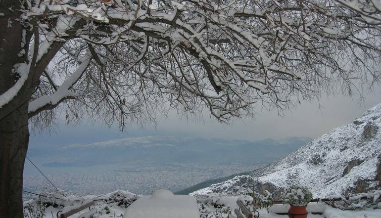 Αρχοντικό Σταφυλοπάτη