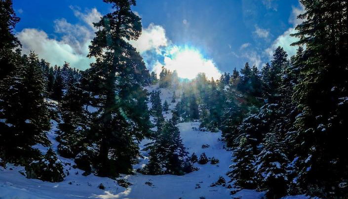 4* Ξενώνας Κυριακή & Αμφίκλεια Suites - Αμφίκλεια, Παρνασσός