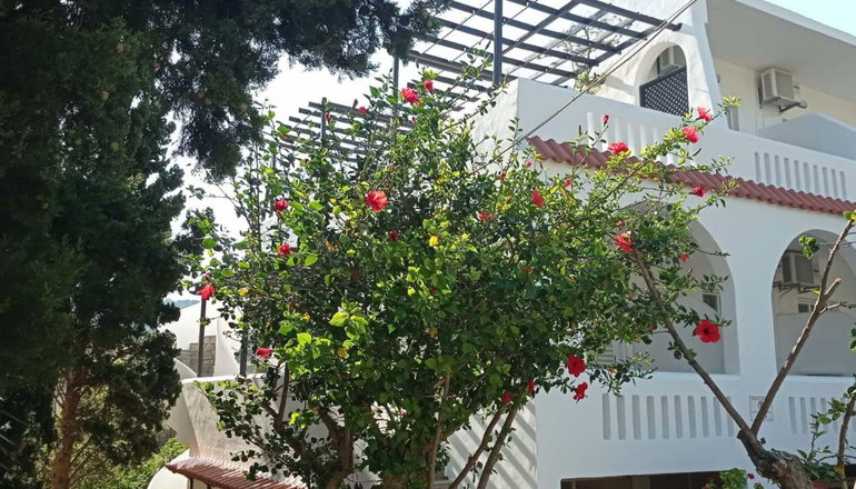 Afroditi Plakias Hotel - Πλακιάς, Ρέθυμνο