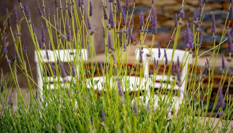 Agrikea Farm Stay - Κορησσία, Κέα