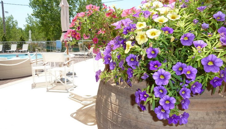 Ammos Bay Hotel