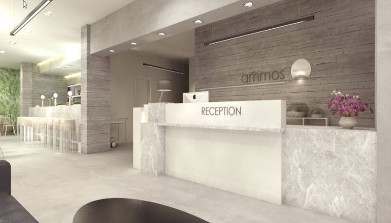 4* Ammos Beach Seaside Luxury Suites
