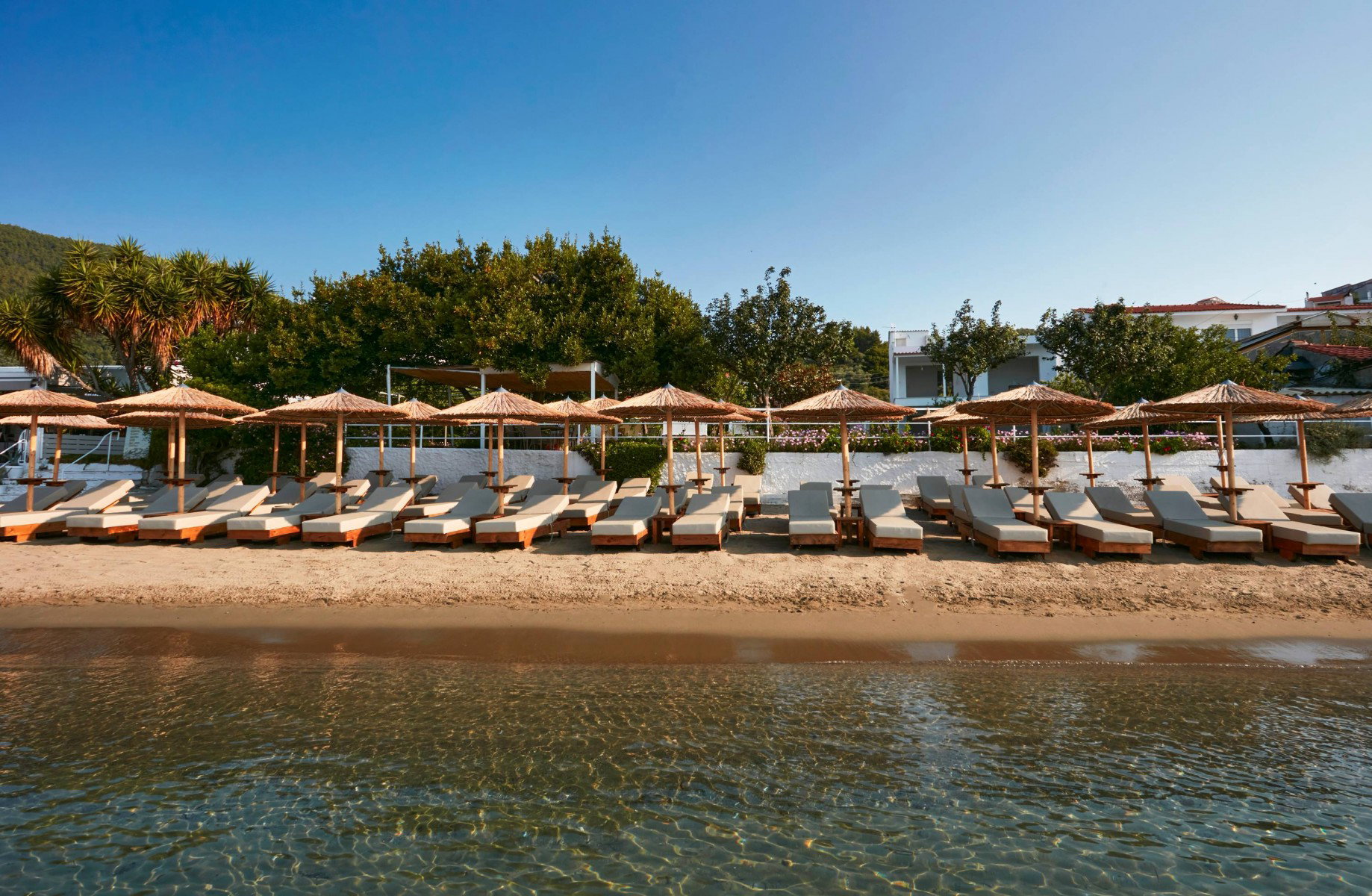 Ammos Luxury Apartments - Μεγάλη Άμμος, Σκιάθος