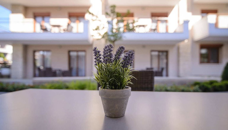 Apanemia by Flegra Hotels