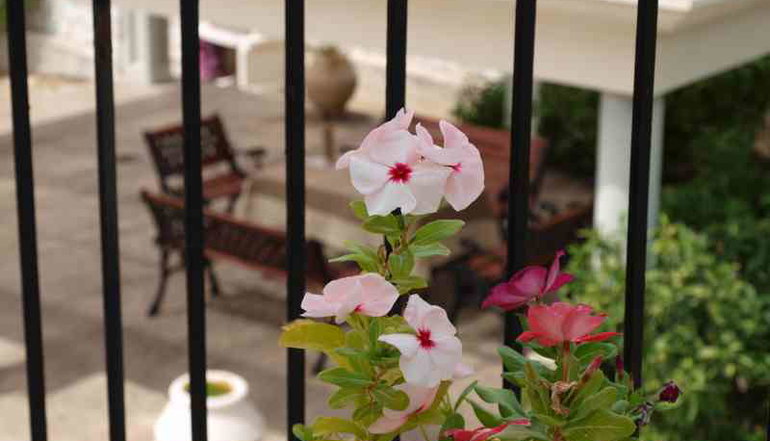 Aristotelis Apartments