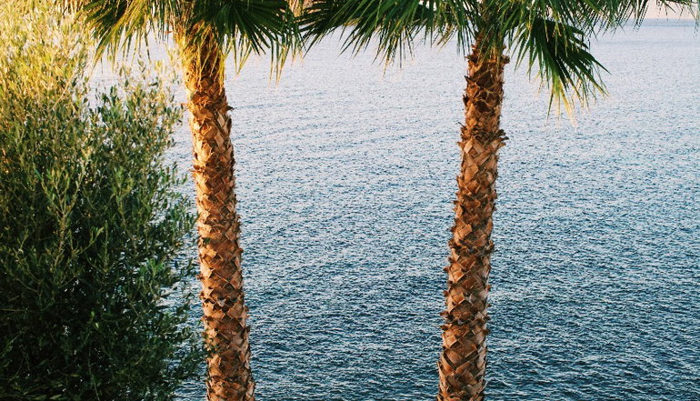 Birds Bay - Πέτρα, Λέσβος