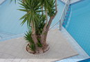 Blue Sky Hotel - Χανιά