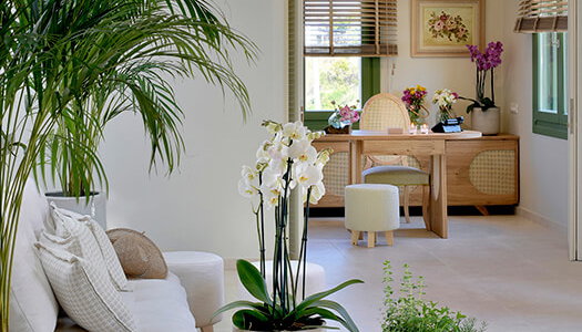 Casa Di Fiori Suites - Χώρα, Άνδρος