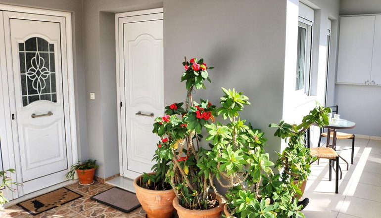 Central Apartment
