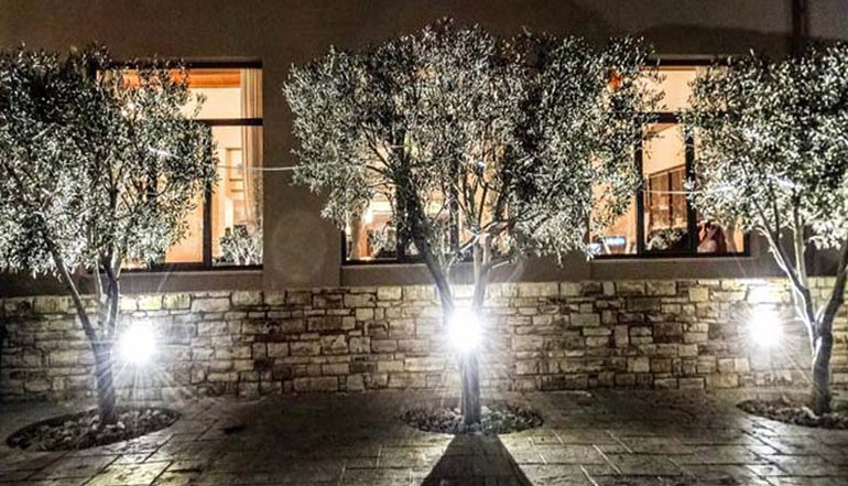 4* Kymi Palace Hotel - Εύβοια, Κύμη