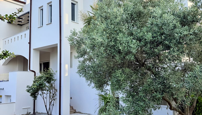 Altamar Collection - Αρτεμίσιο, Εύβοια