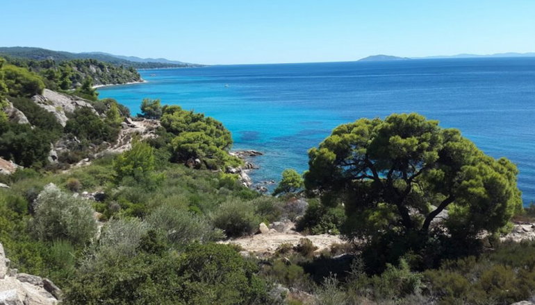 Koviou Holiday Village - Νικήτη, Χαλκιδική