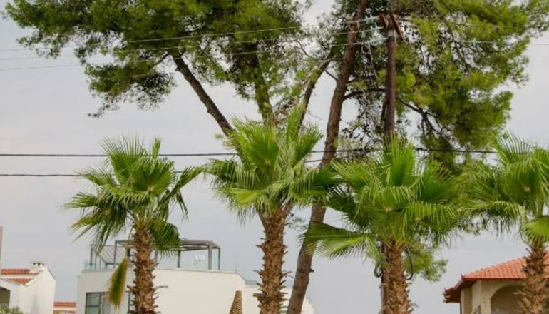 4* Hanioti Melathron - Χανιώτη, Χαλκιδική