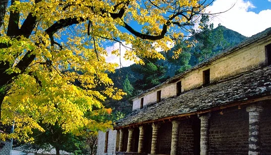 Artsistas Houses - Αρίστη, Ζαγοροχώρια
