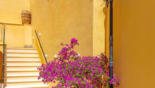 Corfu Secret