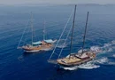 Αγκίστρι, Μονή ή Μετώπη, Αίγινα - Ημερήσια Κρουαζιέρα