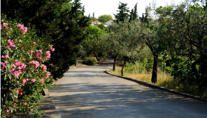 Delfinia Hotel & Bungalows - Μόλυβος, Λέσβος