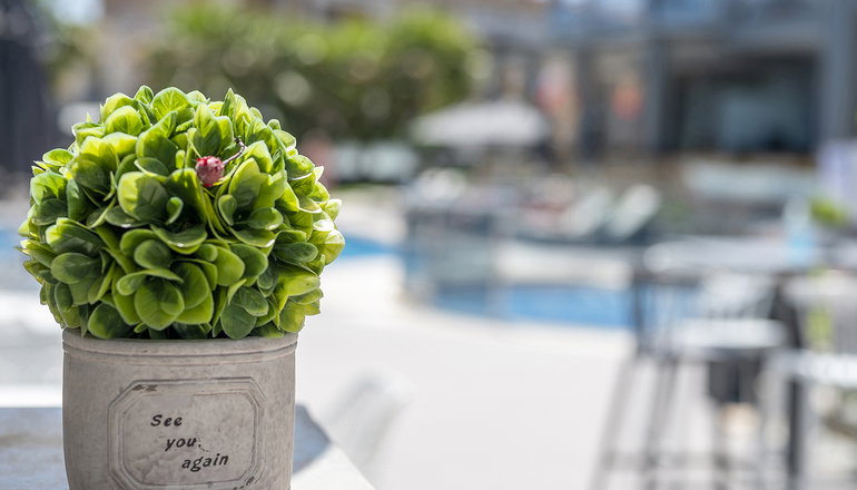 Dionysos Hotel & Suites