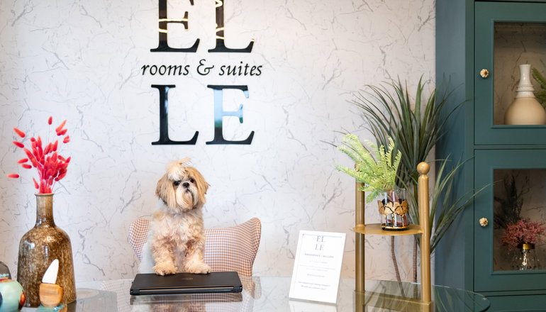 ELLE Rooms and Suites  - Παραλία Κατερίνης