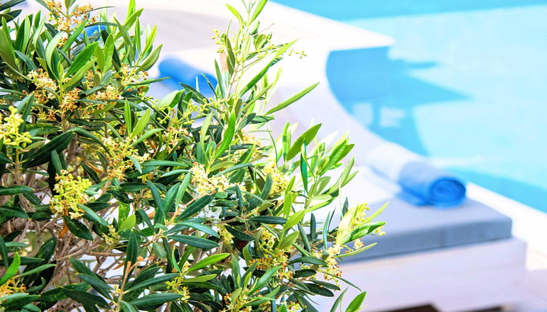 Elounda Garden Suites - Λασίθι, Κρήτη