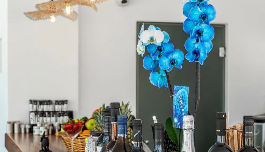 En Plo Boutique Suites - Οία, Σαντορίνη
