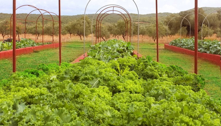 Eumelia Organic Agrotourism Farm - Γούβες, Λακωνία