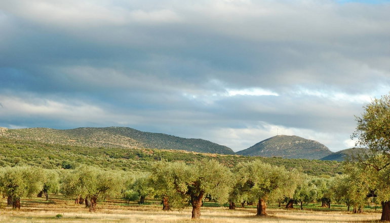 Eumelia Organic Agrotourism Farm - Γούβες, Λακωνία