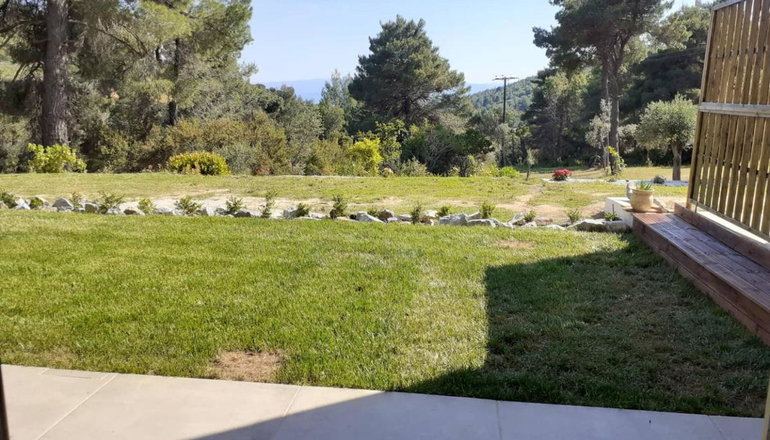 Forest Resort Suites - Tρούλος, Σκιάθος