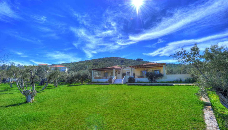 Gera's Olive Grove (Elaionas Tis Geras) - Κόλπος Γέρας, Λέσβος