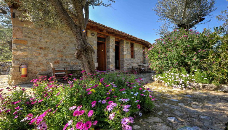 Gera's Olive Grove (Elaionas Tis Geras) - Κόλπος Γέρας, Λέσβος