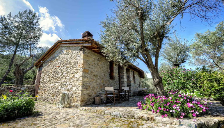 Gera's Olive Grove (Elaionas Tis Geras) - Κόλπος Γέρας, Λέσβος