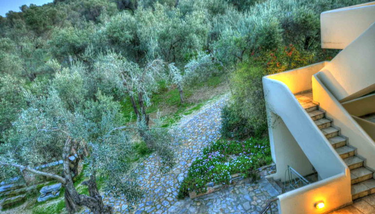 Gera's Olive Grove (Elaionas Tis Geras) - Κόλπος Γέρας, Λέσβος