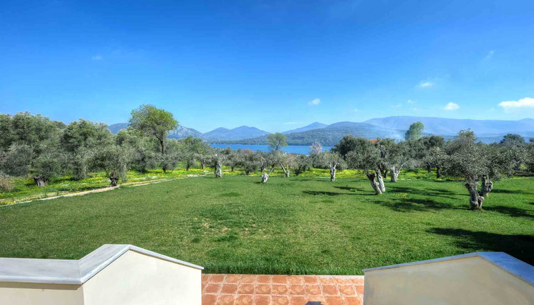 Gera's Olive Grove (Elaionas Tis Geras) - Κόλπος Γέρας, Λέσβος