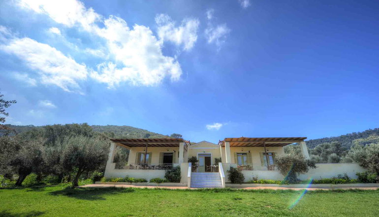 Gera's Olive Grove (Elaionas Tis Geras) - Κόλπος Γέρας, Λέσβος