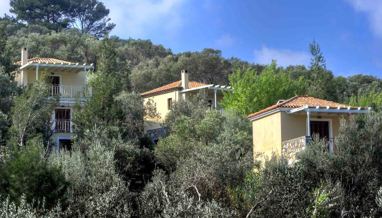 Gera's Olive Grove (Elaionas Tis Geras) - Κόλπος Γέρας, Λέσβος