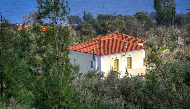 Gera's Olive Grove (Elaionas Tis Geras) - Κόλπος Γέρας, Λέσβος