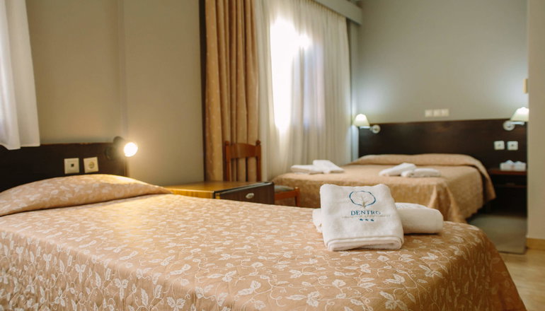 Grand Hotel Dentro - Κόνιτσα