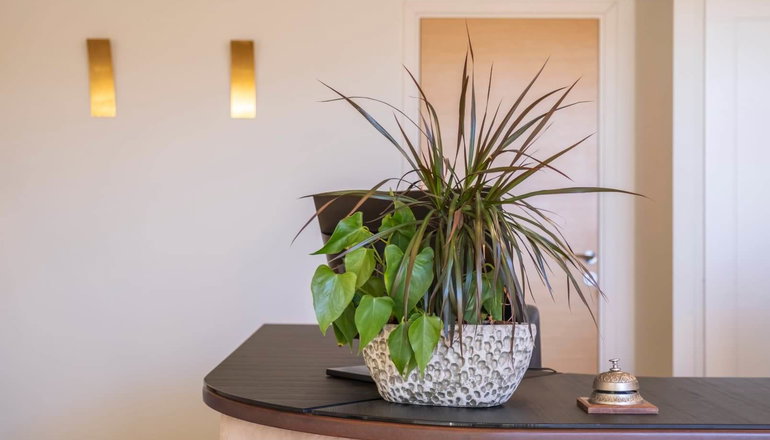 Harmony Luxury Rooms