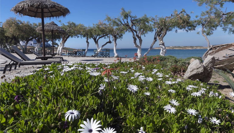 Kalypso Hotel & Villas