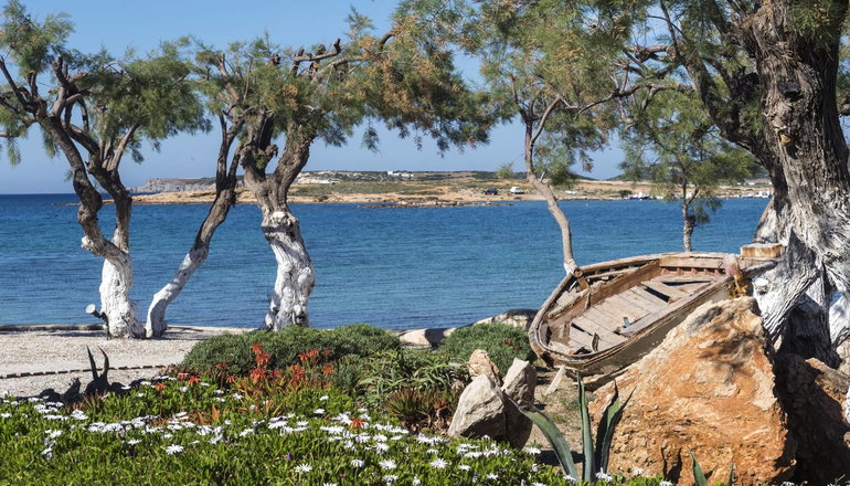 Kalypso Hotel & Villas