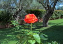 Ionian Breeze Studios