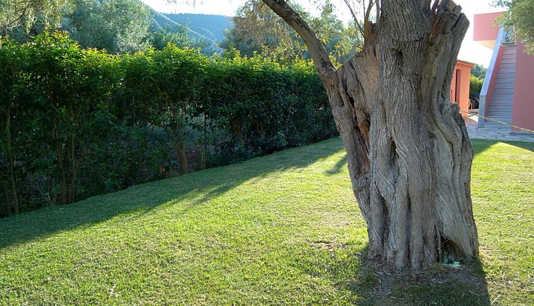 Ionian Breeze Studios