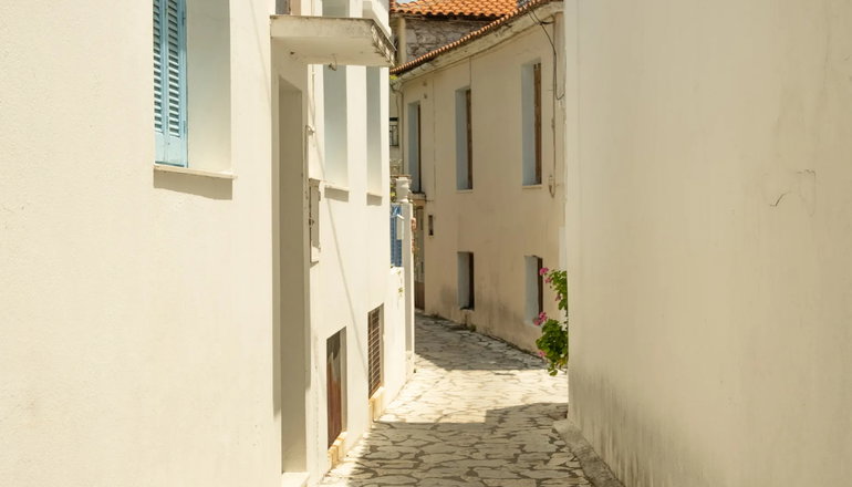 4* Selina Kaminos Evia