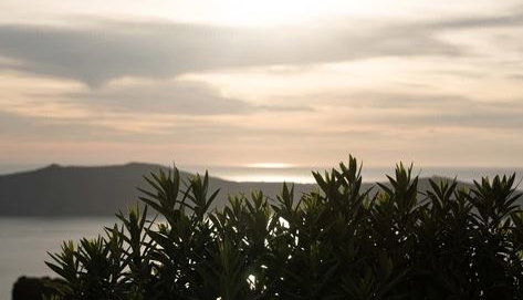 La Roka Cliffside Memories