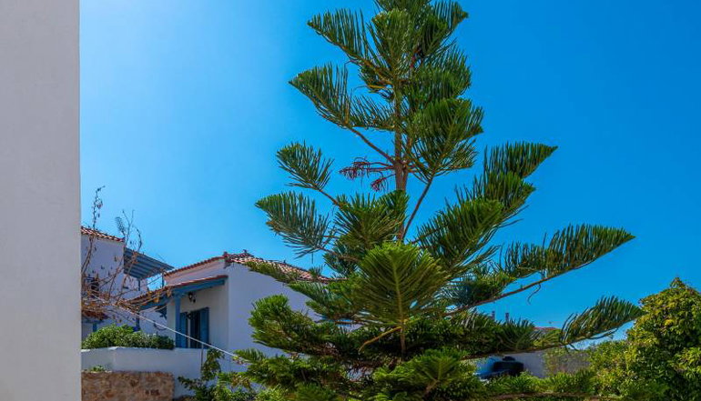 Laza Beach Inn